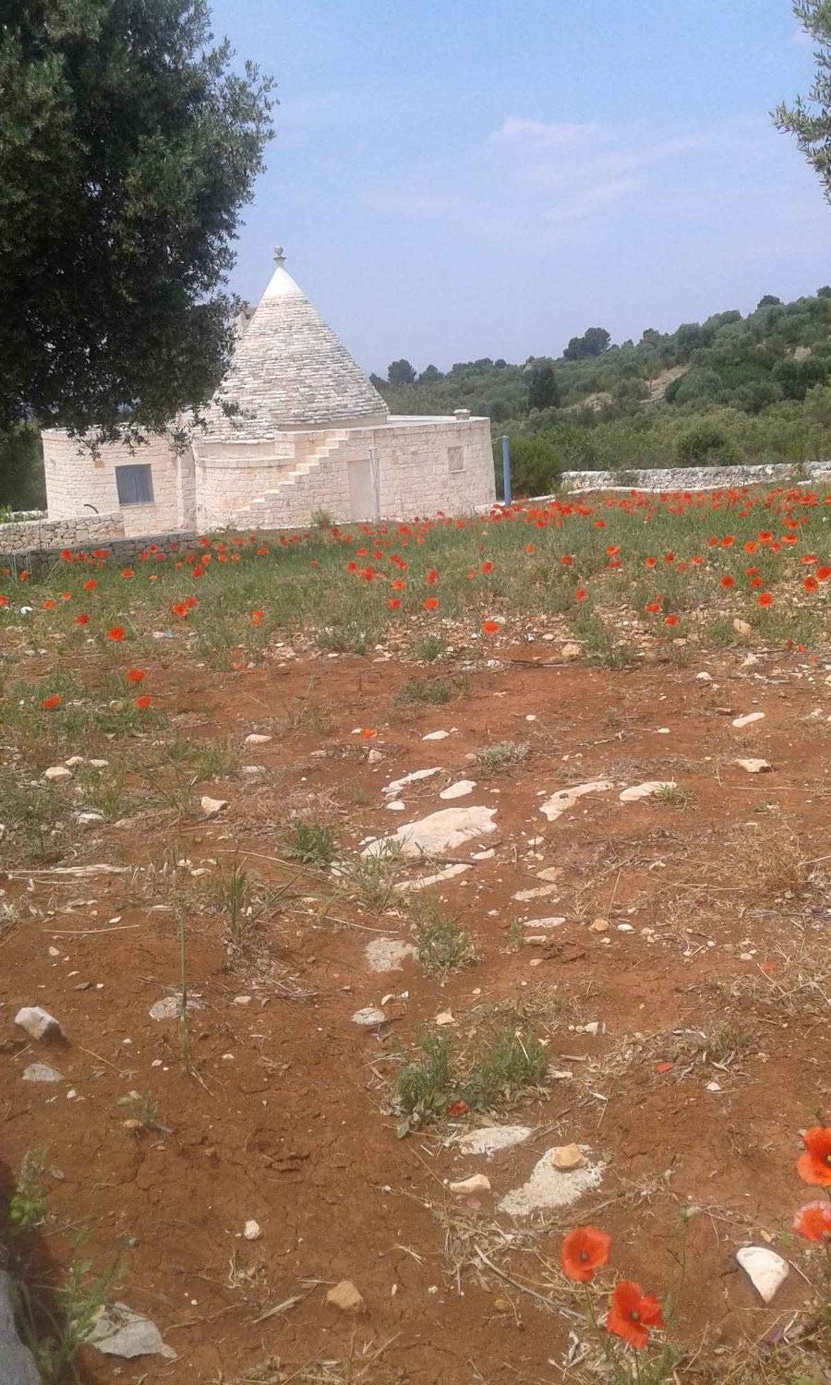 Villa Trullo Alto Salento Cisternino Exterior foto